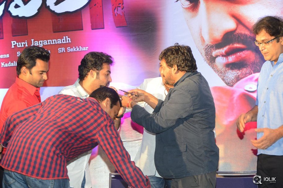 Temper-Movie-Success-Meet